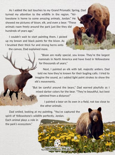 Yellowstone National Park cover