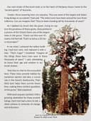 Yosemite National Park
