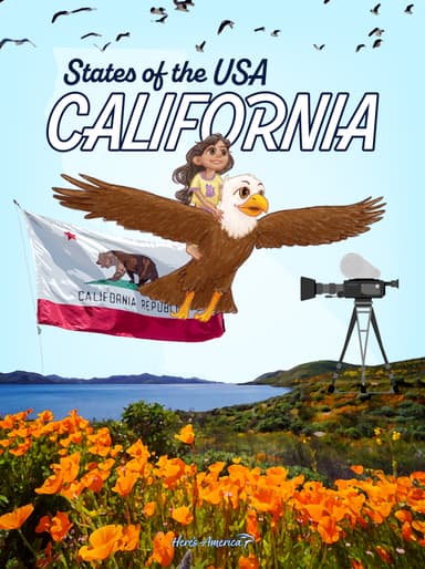 6. California cover
